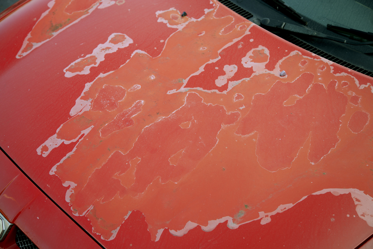 Is Your Vehicle's Paint Wearing Away and Discoloured?